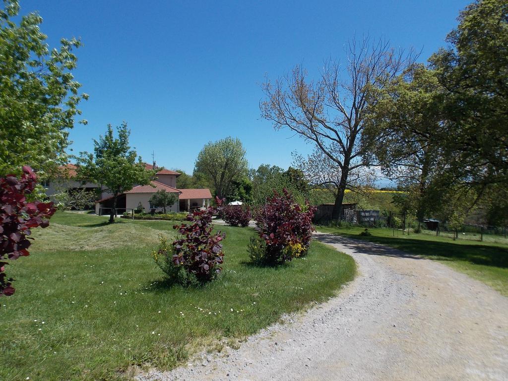 A La Mare Du Vieux Chene Bed & Breakfast Bellegarde-Poussieu Bagian luar foto